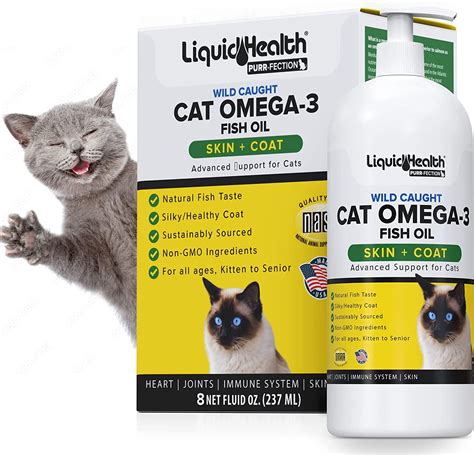 omega 3 canine dosage|best fish oil for cats with kidney disease.